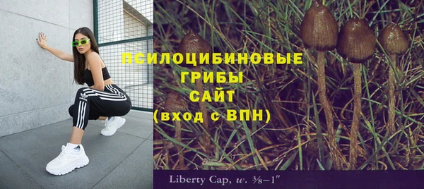 мяу мяу кристалл Лабытнанги