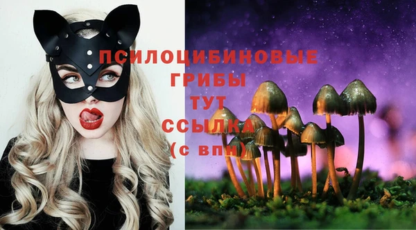 мяу мяу кристалл Лабытнанги