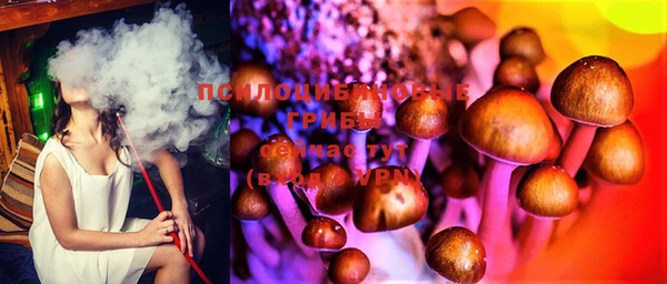 МДМА Лагань